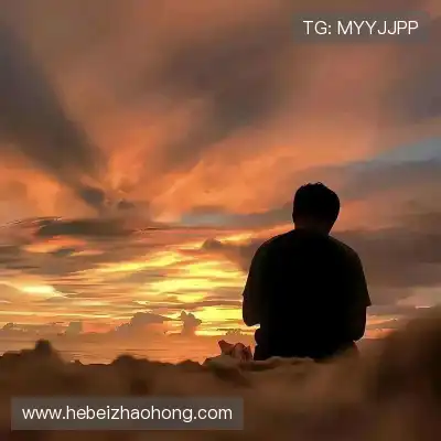 岑举畏