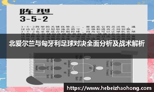 333官方网站体育