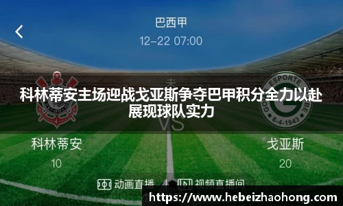 333体育科林蒂安主场迎战戈亚斯争夺巴甲积分全力以赴展现球队实力